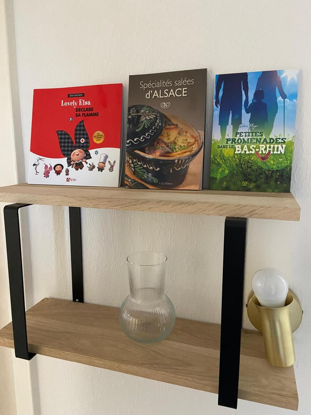 Joli Appartement Proche Gare Molsheim Eksteriør bilde